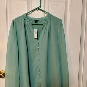 Ann Taylor Mint Green Button-Down Blouse